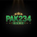 PAK234 Game